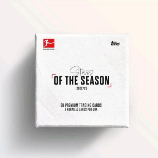 Bundesliga Stars of the Season Box